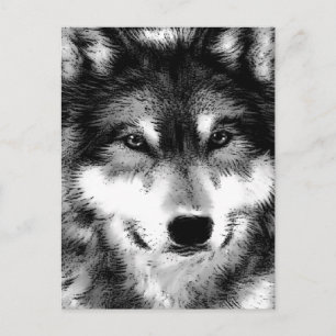 Wolf Briefkaart