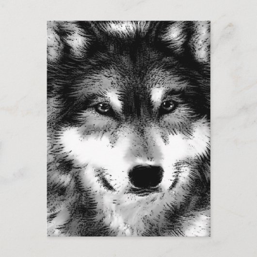 Wolf Briefkaart (Voorkant)