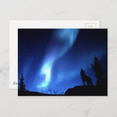 WOLF BRIEFKAART (Voorkant / Achterkant)