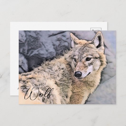 Wolf Briefkaart (Voorkant / Achterkant)