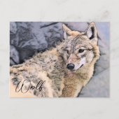 Wolf Briefkaart (Voorkant)