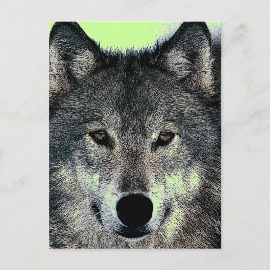 Wolf Briefkaart (Voorkant)