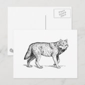 Wolf Briefkaart (Voorkant / Achterkant)