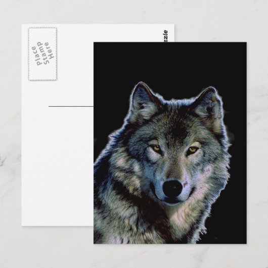 Wolf Briefkaart (Voorkant / Achterkant)