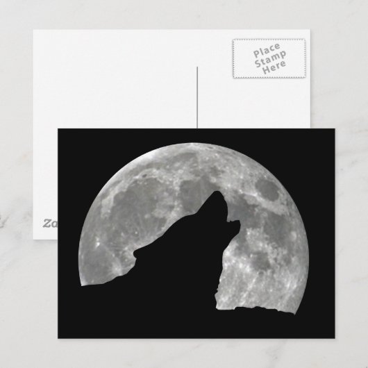 wolf briefkaart (Voorkant / Achterkant)