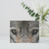 wolf briefkaart (Staand voorkant)