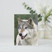 Wolf Briefkaart (Staand voorkant)