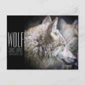 Wolf (Briefkaart) Briefkaart (Voorkant)