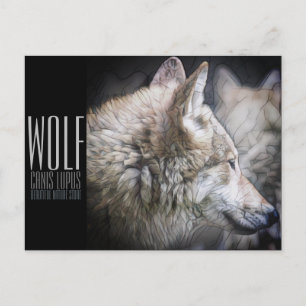 Wolf (Briefkaart) Briefkaart