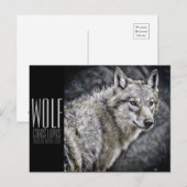 Wolf (Briefkaart) Briefkaart (Voorkant / Achterkant)