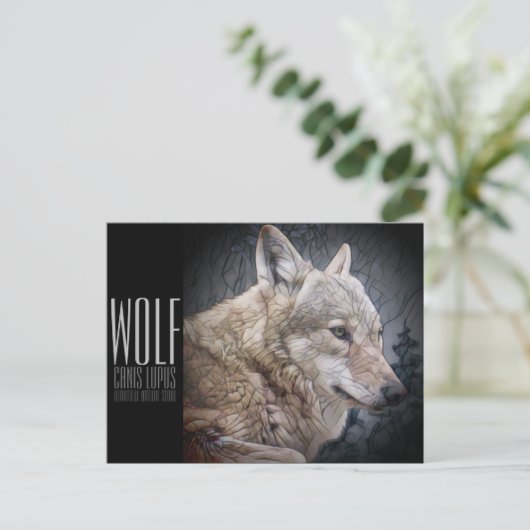 Wolf (Briefkaart) Briefkaart (Staand voorkant)
