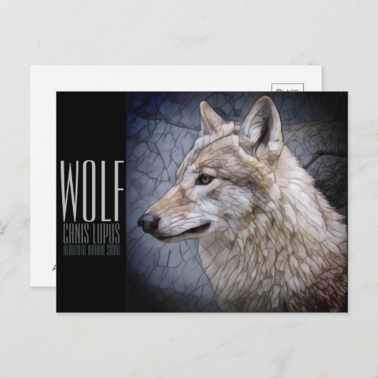 Wolf (Briefkaart) Briefkaart (Voorkant / Achterkant)