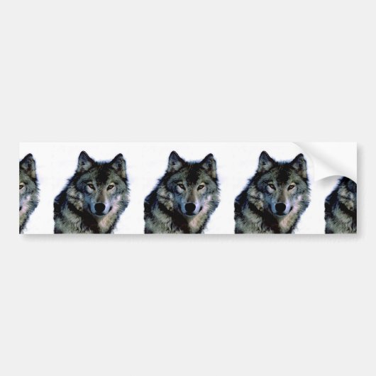 Wolf Bumpersticker (Voorkant)