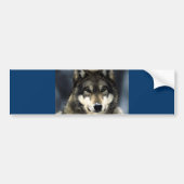 Wolf Bumpersticker (Voorkant)
