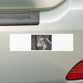 Wolf Bumpersticker (Op auto)