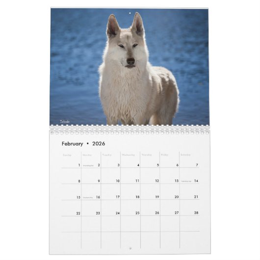Wolf Calendar Kalender (Feb 2026)