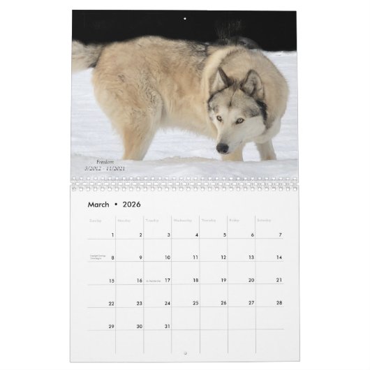 Wolf Calendar Kalender (Mar 2026)