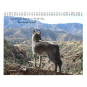 Wolf Calendar Kalender (Hoes)