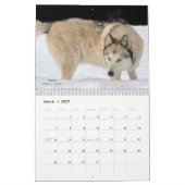 Wolf Calendar Kalender (Mar 2027)