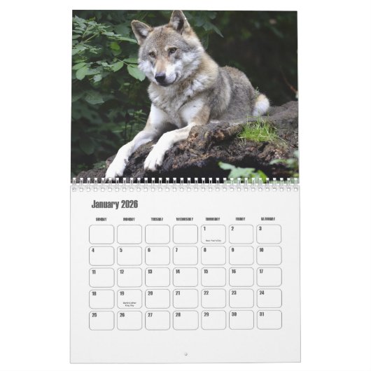 Wolf Calendar Kalender (Jan 2026)