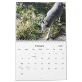 Wolf Calender 2012 Kalender (Feb 2027)