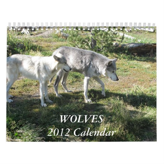 Wolf Calender 2012 Kalender (Hoes)