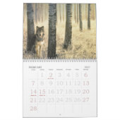 Wolf Calender Kalender (Feb 2027)
