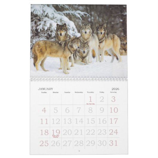 Wolf Calender Kalender (Jan 2026)