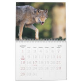 Wolf Calender Kalender (Mar 2026)