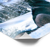 Wolf Call Foto Afdruk (Hoek)