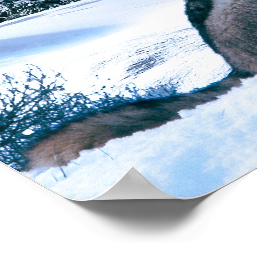 Wolf Call Poster (Hoek)