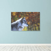 Wolf (Canis lupus) 2 Canvas Afdruk (Insitu (Houten vloer))