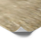 Wolf (Canis Lupus) die naar camera loopt Poster (Hoek)