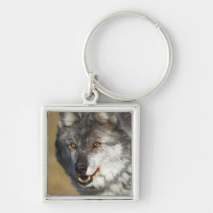 Wolf (Canis Lupus) Sleutelhanger