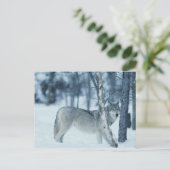 Wolf (Canis lupus) tijdens de winter Briefkaart (Staand voorkant)