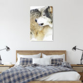 Wolf Canvas Afdruk (Insitu (Slaapkamer))