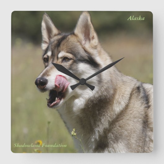 Wolf Clock Vierkante Klok (Voorkant)