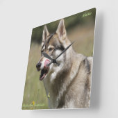 Wolf Clock Vierkante Klok (Hoek)