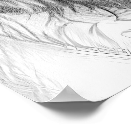 Wolf Couple Poster (Hoek)