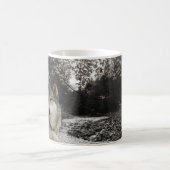 Wolf Creek Brook Boslandschap Koffiemok (Center)