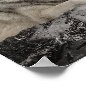 Wolf Creek Brook Boslandschap Poster (Hoek)
