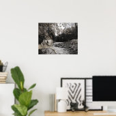 Wolf Creek Brook Boslandschap Poster (Thuiskantoor)