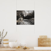 Wolf Creek Brook Boslandschap Poster (Keuken)