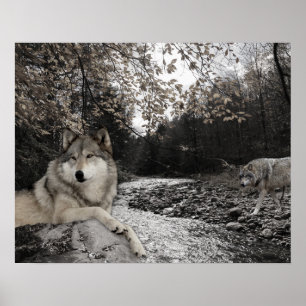 Wolf Creek Brook Boslandschap Poster