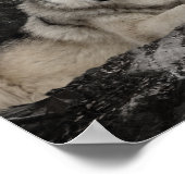 Wolf Creek Brook Forest Landschap Poster (Hoek)