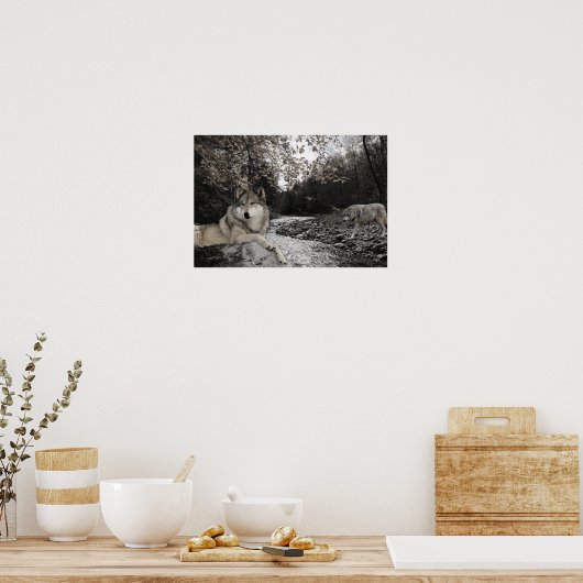 Wolf Creek Brook Forest Landschap Poster (Keuken)