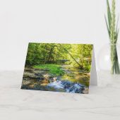 Wolf Creek Card Kaart (Voorkant)