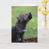 Wolf Cub die je kaart mist (Gele Bloem)
