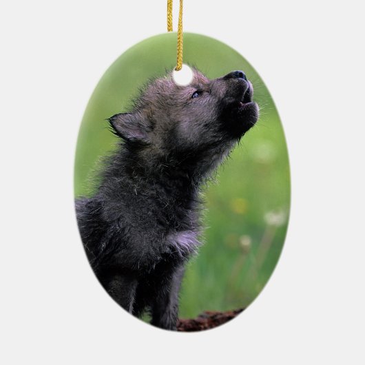 Wolf Cub Howling Keramisch Ornament (Achterkant)