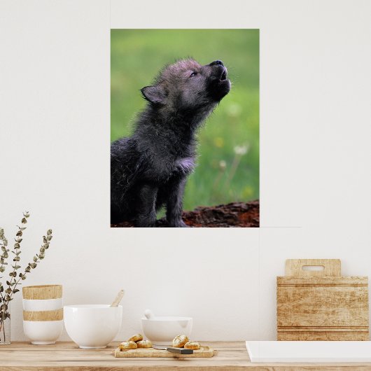 Wolf Cub Howling Poster (Keuken)